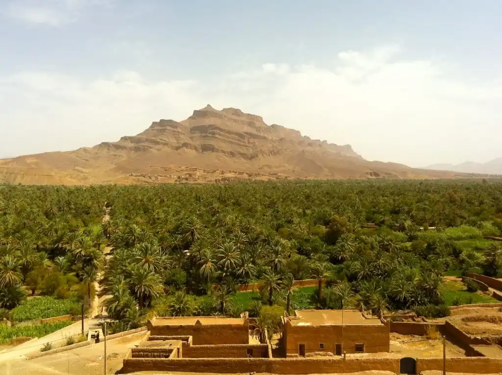 1 Day Ouarzazate To Zagora With Camel Ride