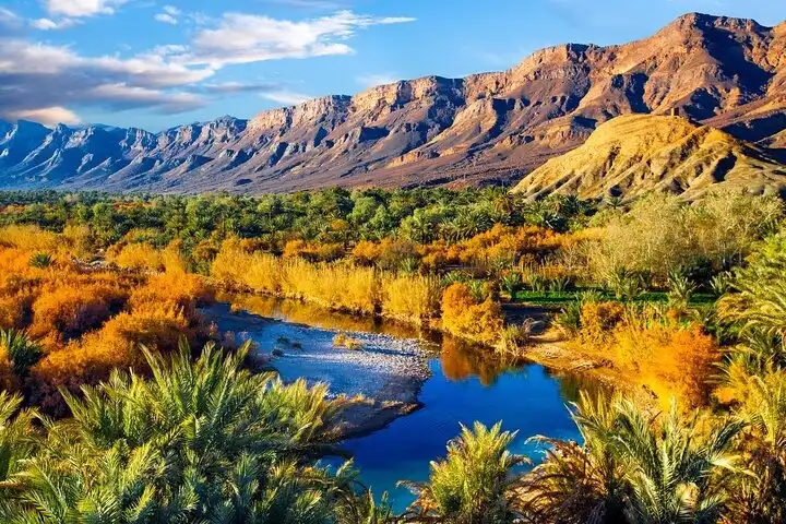 Zagora and Draa Valley 1 Day Trip from Ouarzazate with Lunch
